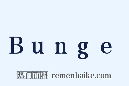Bunge是什么意思的图片